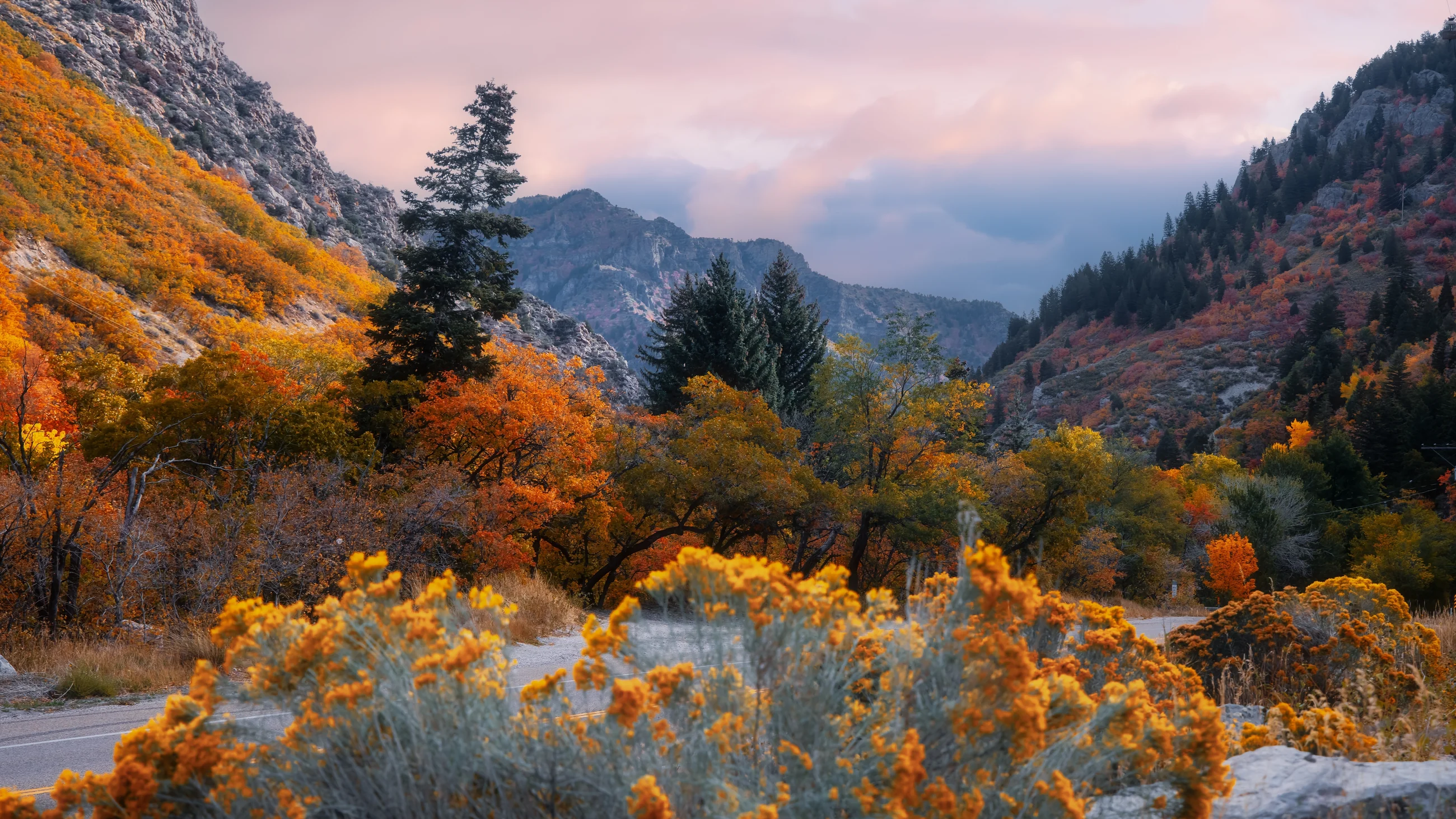 Autumn mountain slope with low clouds and evergreen trees